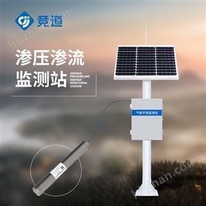 JD-SL1渗流监测仪器