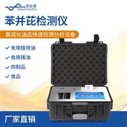 苯并芘检测仪