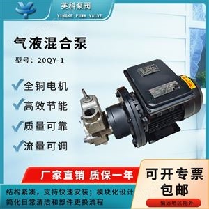 20QY-1臭氧水混合溶風泵