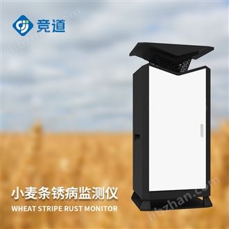 JD-XM3小麦条锈病抗性鉴定
