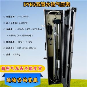 DYB-3型双管水银压力表