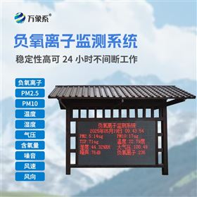 景区负氧离子监测仪器