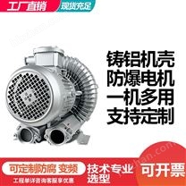 煤礦用高壓防爆風(fēng)機(jī)  化工廠用鼓風(fēng)機(jī)BT4