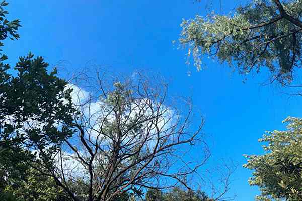 生態(tài)環(huán)境部發(fā)布2025年8月上半月全國空氣質量預報會商結果