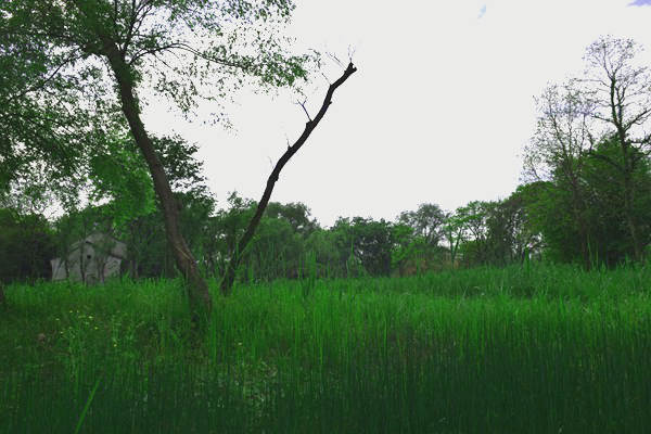 江蘇副省長調(diào)研檢查大運(yùn)河沿線生態(tài)環(huán)境保護(hù)工作