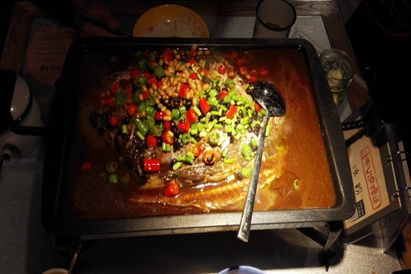 維爾利環(huán)保集團(tuán)嘉興市有機(jī)廢棄物處理項(xiàng)目投運(yùn)！