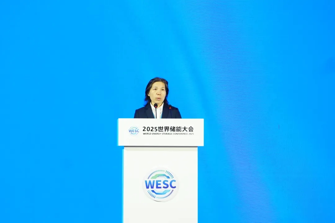 2025WESC|“儲能市場與應用”主題論壇在福建寧德成功舉辦