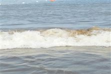 蘇州：“黑燈實(shí)驗室”再添新成員，水質(zhì)檢測邁向智能無人化