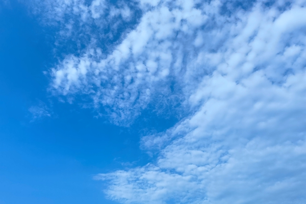 10285元/立方米！廣西華磊脫硝蜂窩式催化劑采購(gòu)項(xiàng)目預(yù)中標(biāo)