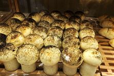 三門峽市人民政府關(guān)于《三門峽市餐廚垃圾管理辦法》政策問答