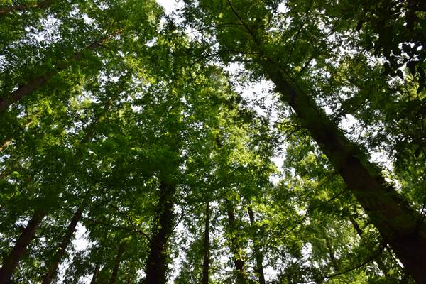 甘肅省天水生態(tài)環(huán)境監(jiān)測(cè)中心圓滿完成2025年度農(nóng)業(yè)面源污染監(jiān)測(cè)工作