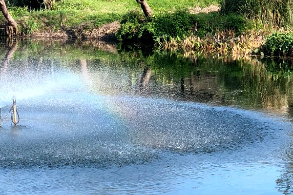 杭州水處理丨好水育好棉！新“膜”法煥發(fā)鹽堿地新生機