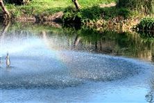 杭州水處理丨好水育好棉！新“膜”法煥發(fā)鹽堿地新生機