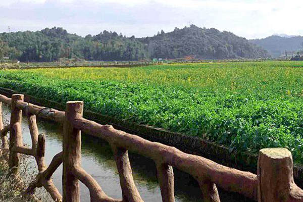 2025年推動解決1000余個農(nóng)民群眾反映強(qiáng)烈的突出環(huán)境問題