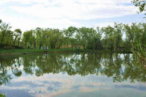 實錄｜國新辦舉行新聞發(fā)布會介紹加快國家水網建設進展情況