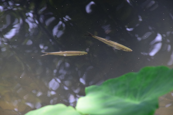 半導(dǎo)體超純水、廢水運維，萊特萊德專業(yè)護航！