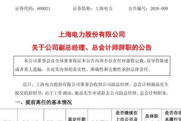上海電力副總經(jīng)理、總會計(jì)師辭職