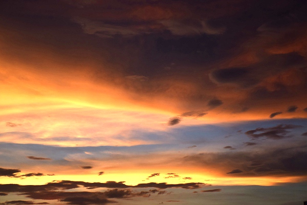 投运！中国能建在南非建成的单体最大光伏电站