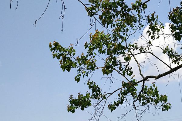 浙江省生態(tài)環(huán)境廳關(guān)于直屬事業(yè)單位2026年公開(kāi)招聘人員的公告