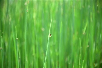 钱花了，环评批文竟是假的！最高可罚 200 万