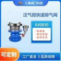 AV0830注氣微快速排氣閥