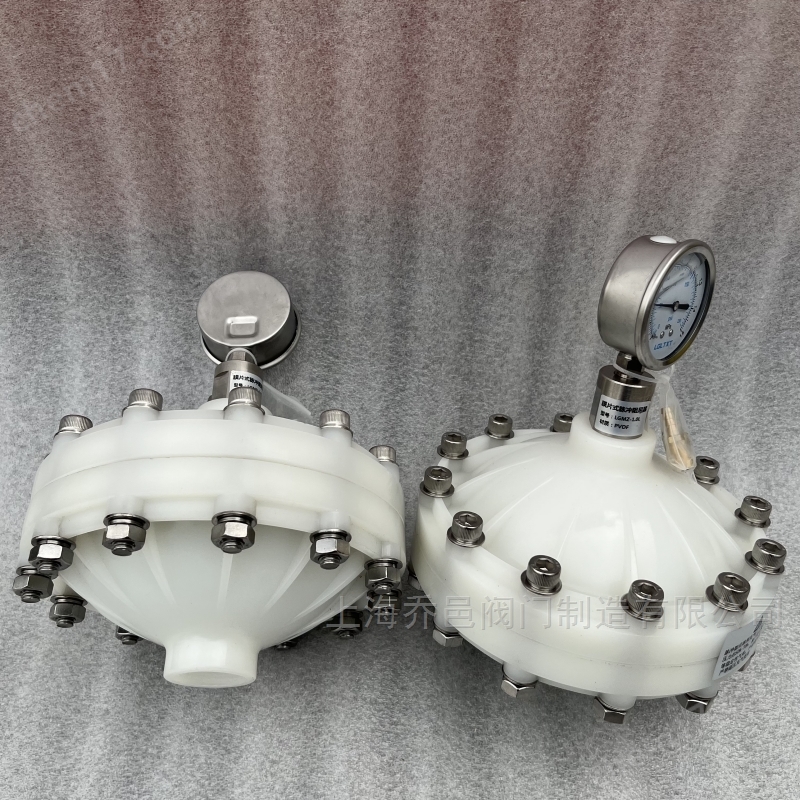 LGMZ-V1.0L膜片式脉冲阻尼器PVDF LGMZ-V0.35L膜片式脉冲阻尼器PVDF