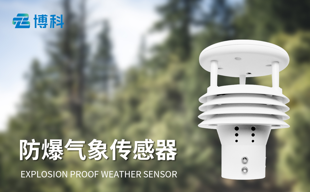防爆气象传感器 防爆气象传感器