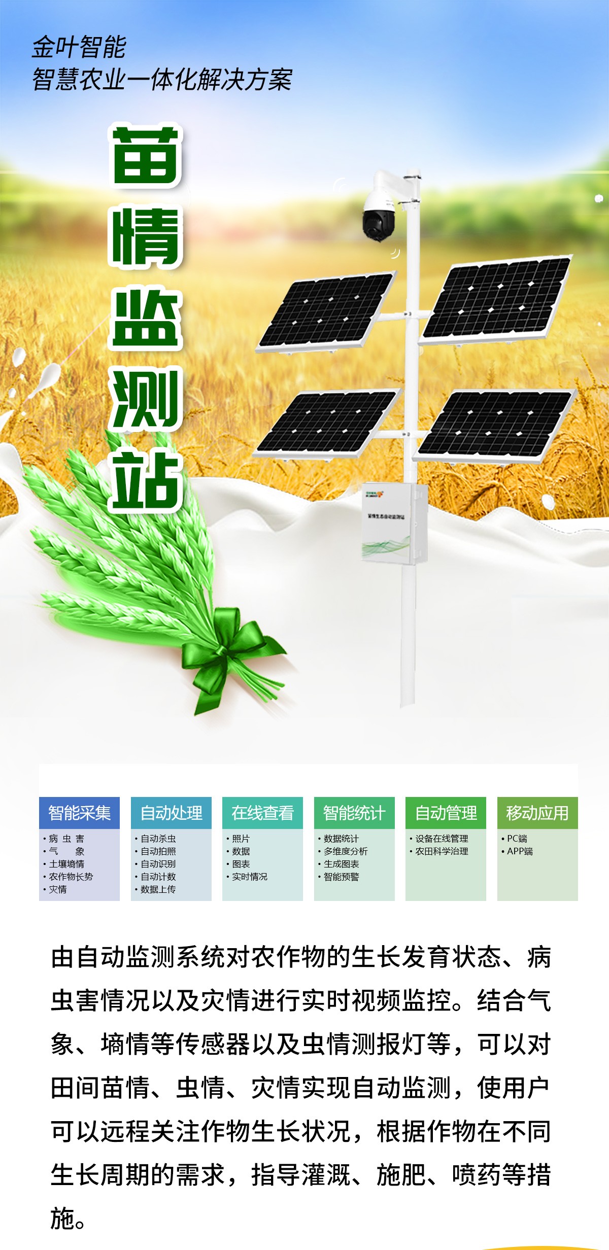 田间装上 “智慧大脑