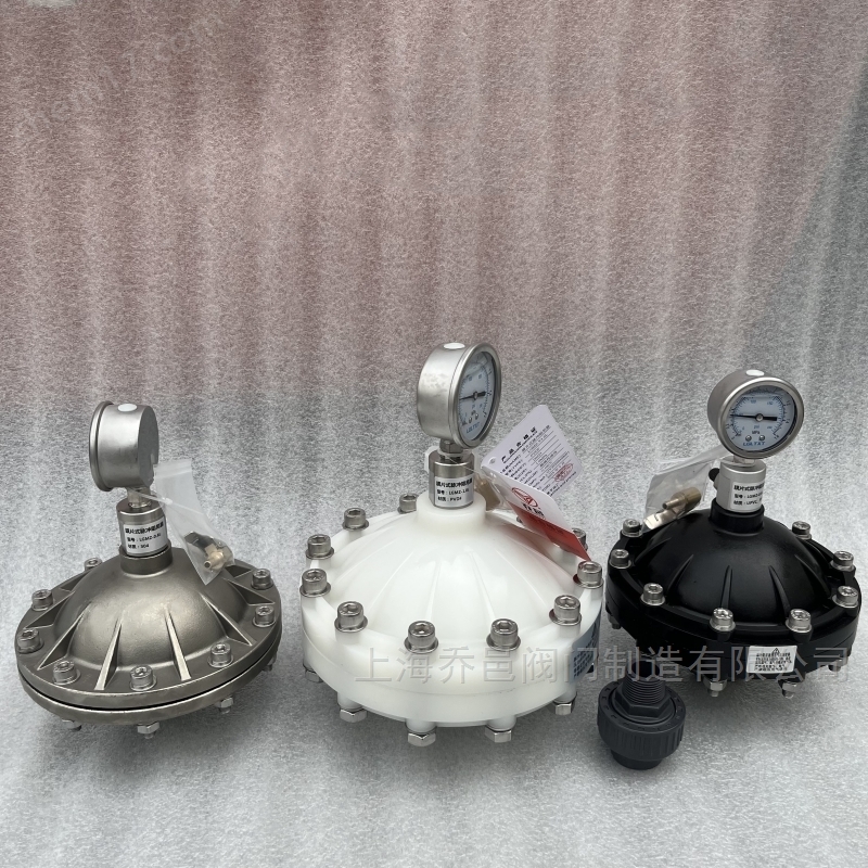 LGMZ-V0.35L膜片式脉冲阻尼器PVDF