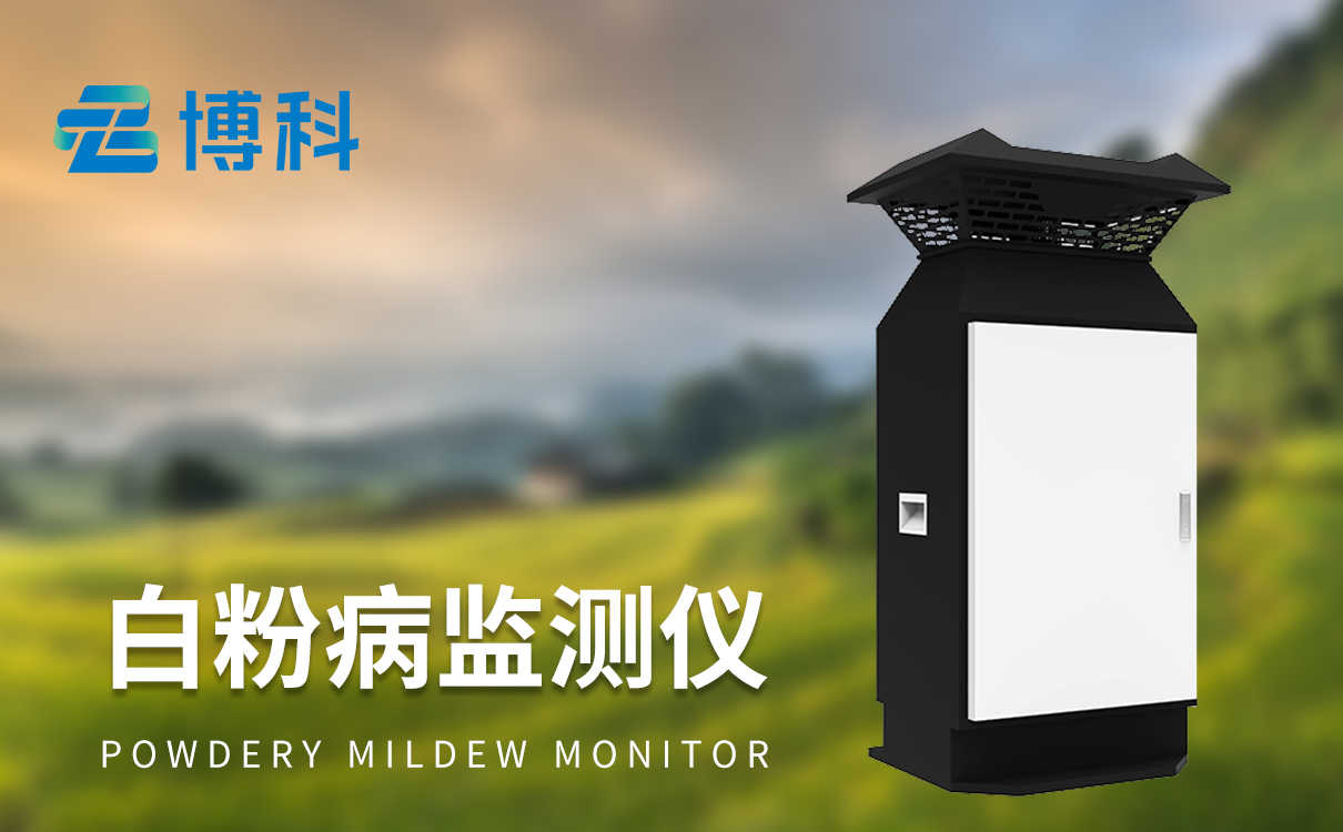 白粉病监测仪