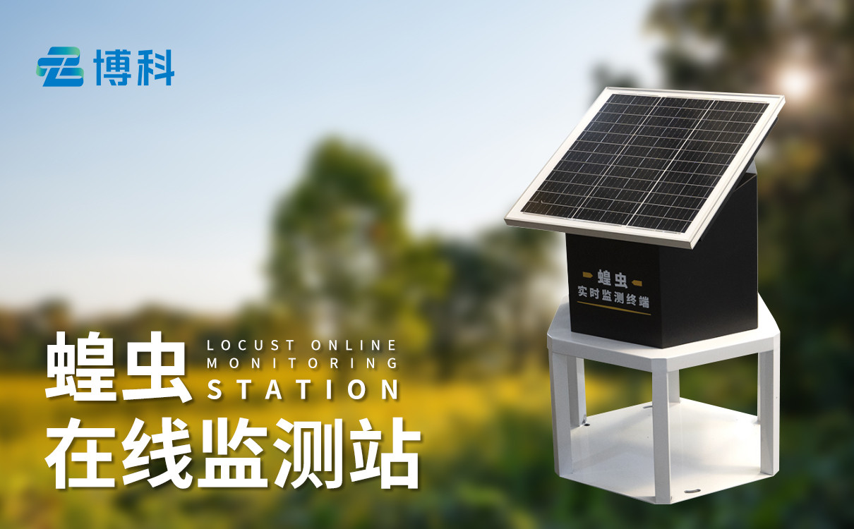 蝗虫灾害数据
