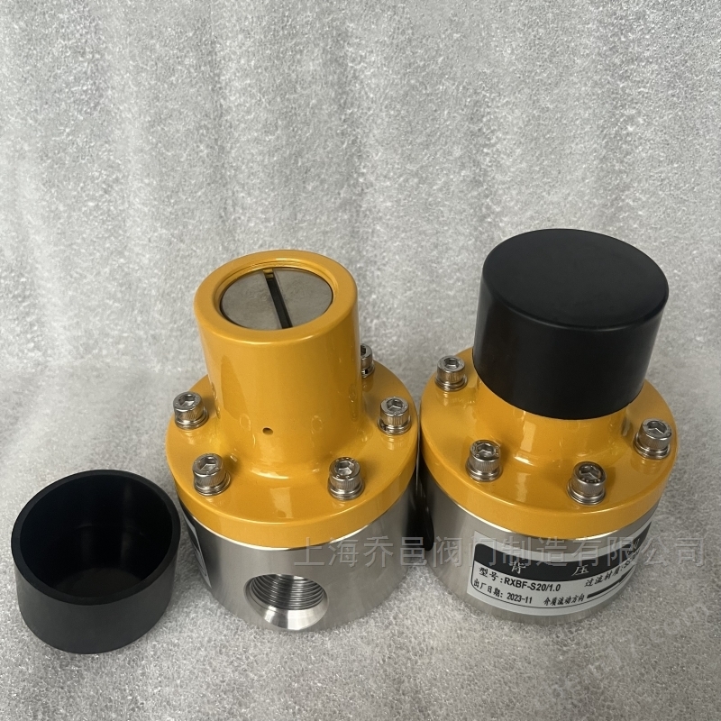 RXBF-S25/1.0-F背压阀