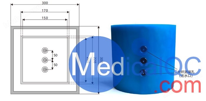 WEK-SAR量热法SAR值测量模体