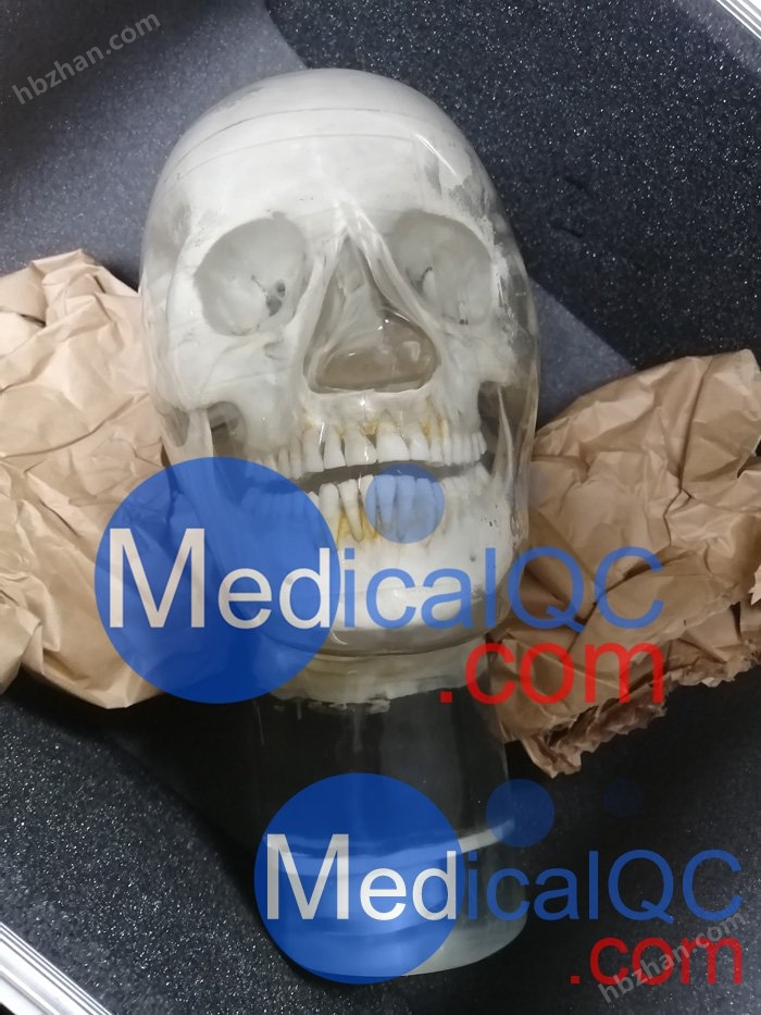 WEK-7300带颈椎头模